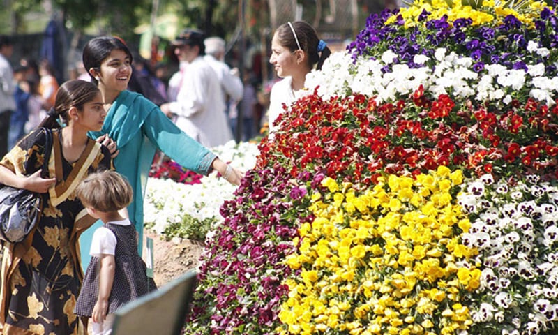 Why Peshawar is called the city of flowers in Pakistan? 3 Peshawar City of flowers