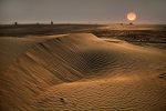 cholistan desert