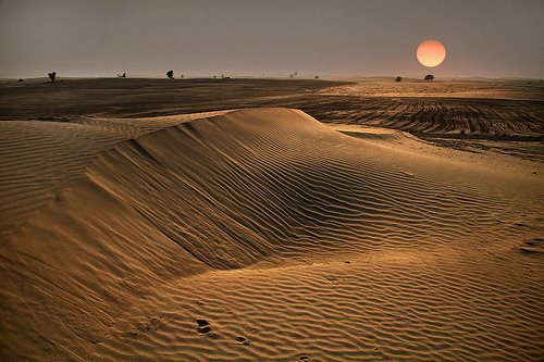 In which province of Pakistan Cholistan Desert is located? 2 cholistan desert