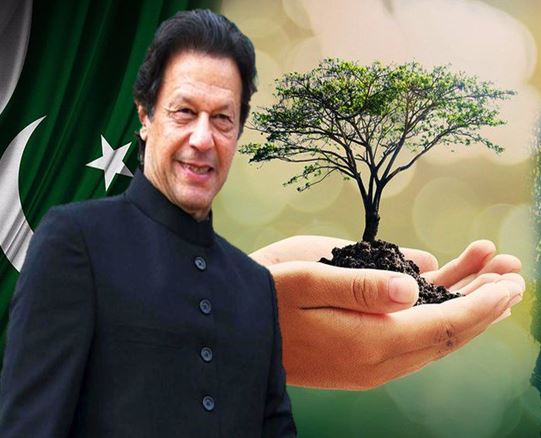 How many trees did Imran Khan plant in Pakistan? 2 Imran Khan tree plantation